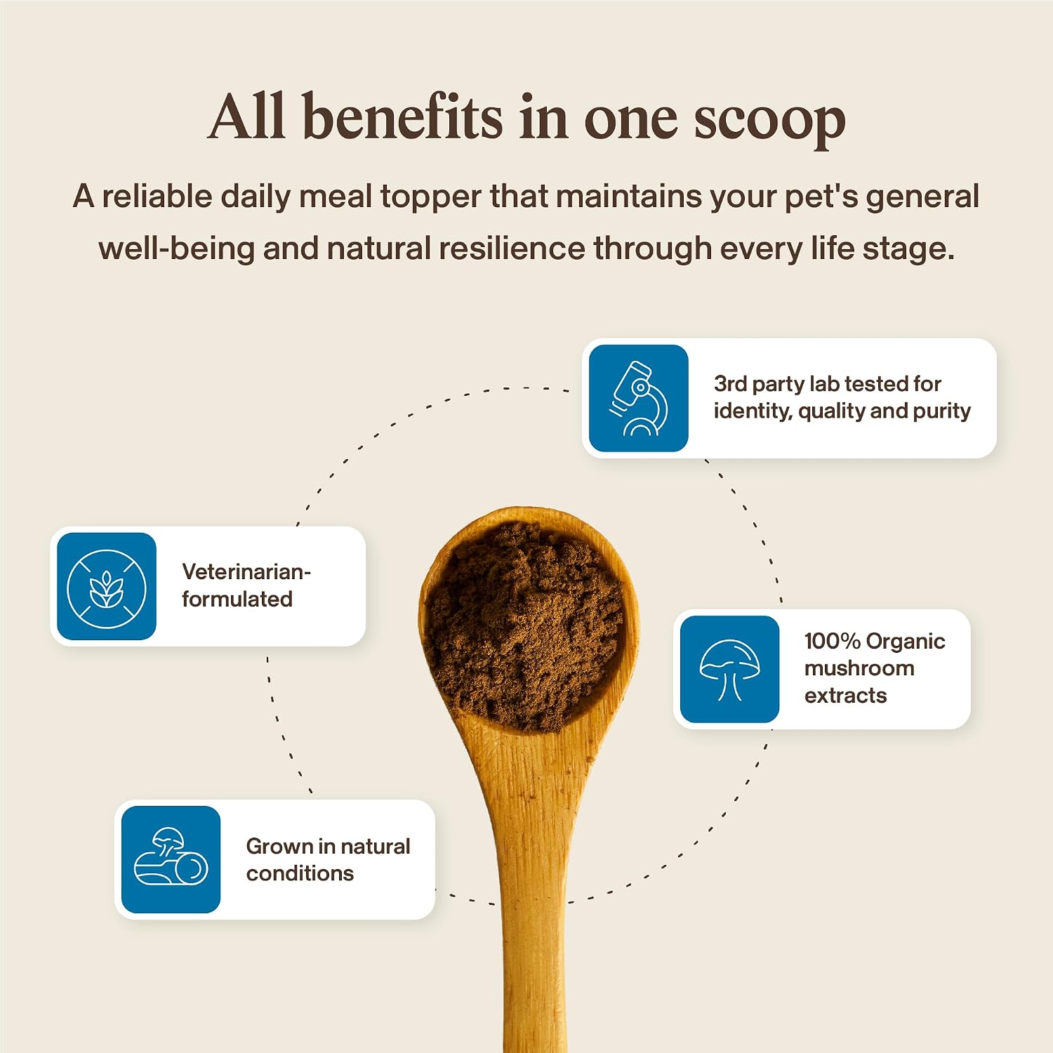 Real Mushrooms Whole Dog Health – Suplemento de hongos para perros, 75 g en polvo