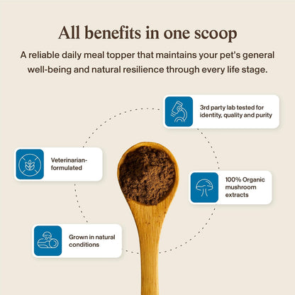 Real Mushrooms Whole Dog Health – Suplemento – Lion’s Mane (Hericium erinaceus): Favorece la salud cognitiva y – Image 8