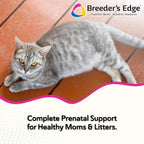 Breeder's Edge Oxy Mate Prenatal Vitamins for Dogs & Cats, Soft Chews - 60 Count