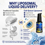 Cellqueue Complejo B Metilado Liposomal - Fórmula Activa de Vitaminas B con Metil B12, Folato, TMG y Cardo Mariano, Apoya la Energía, el Estado de Ánimo, la Cognición, el Sistema Nervioso y la Función Hepática, 50 ml