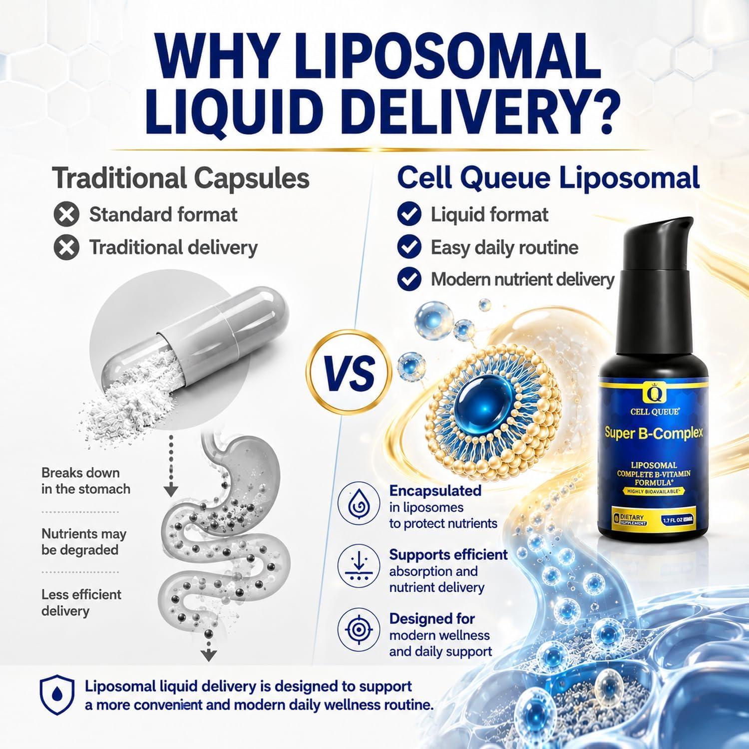 Cellqueue Complejo B Metilado Liposomal - Fórmula Activa de Vitaminas B con Metil B12, Folato, TMG y Cardo Mariano, Apoya la Energía, el Estado de Ánimo, la Cognición, el Sistema Nervioso y la Función Hepática, 50 ml