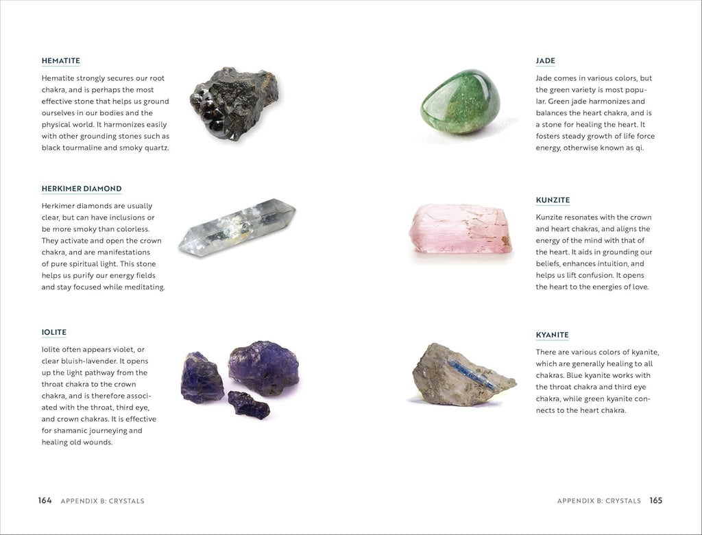 Chakra Healing: A Beginner's Guide to Self-Healing Techniques that Balance the Chakras