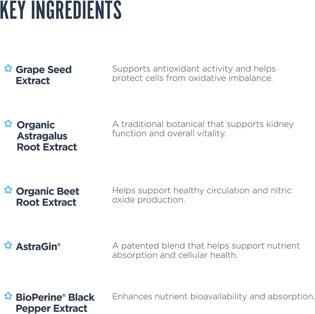 Revive MD Kidney Support – Complemento para la Función Renal (135 Cápsulas Vegetales)
