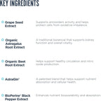 Revive MD Kidney Support – Complemento para la Función Renal (135 Cápsulas Vegetales)