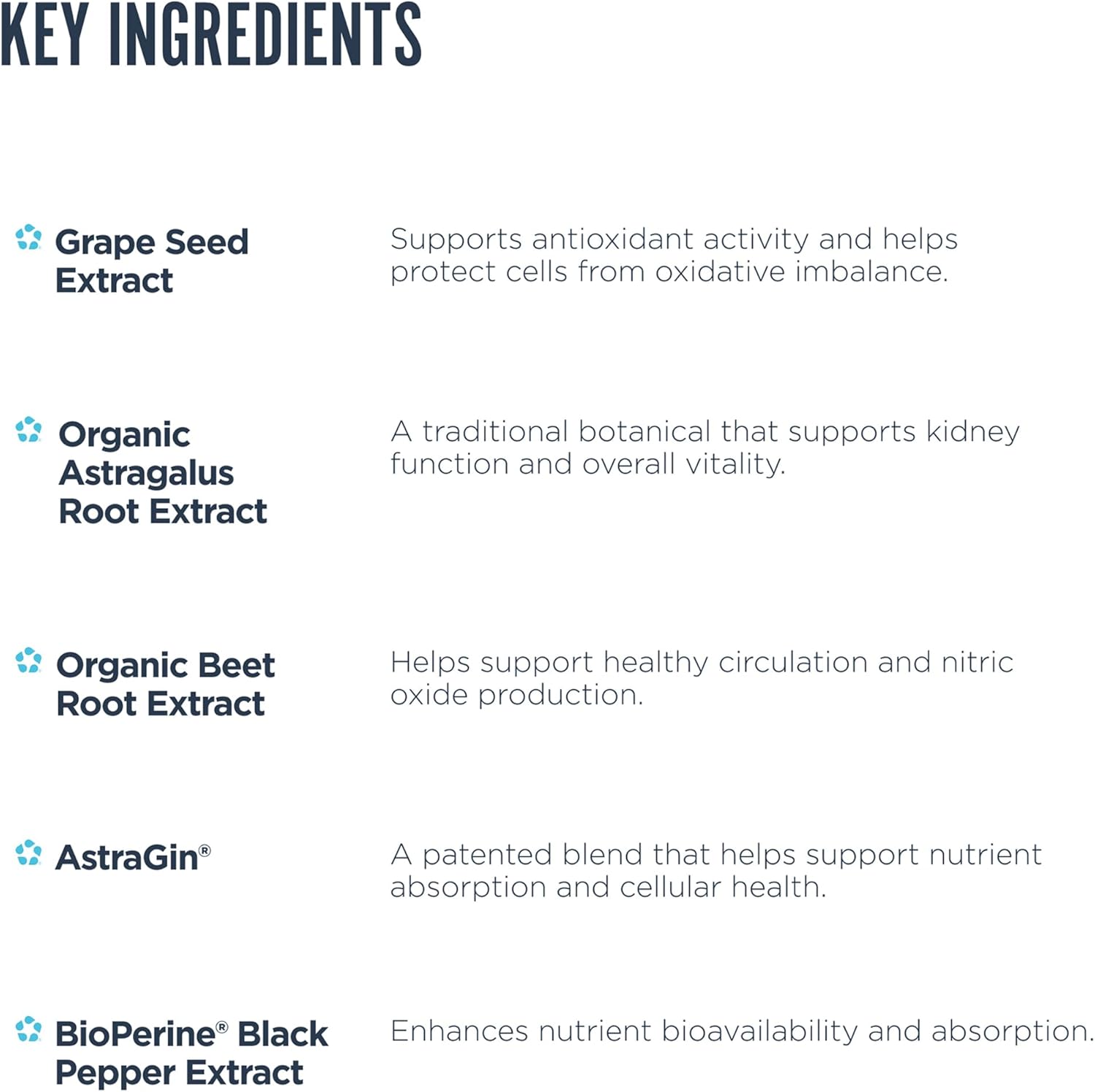 Revive MD Kidney Support – Complemento para la Función Renal (135 Cápsulas Vegetales)