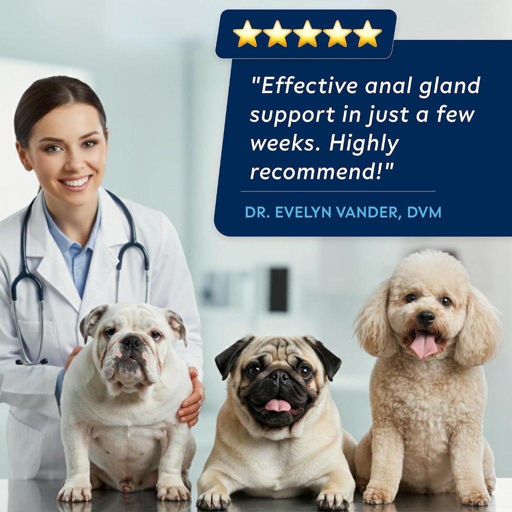 STRELLALAB Anal Gland Support Chews - Suplemento Digestivo con Fibra y Prebióticos para Perros, 120 masticables