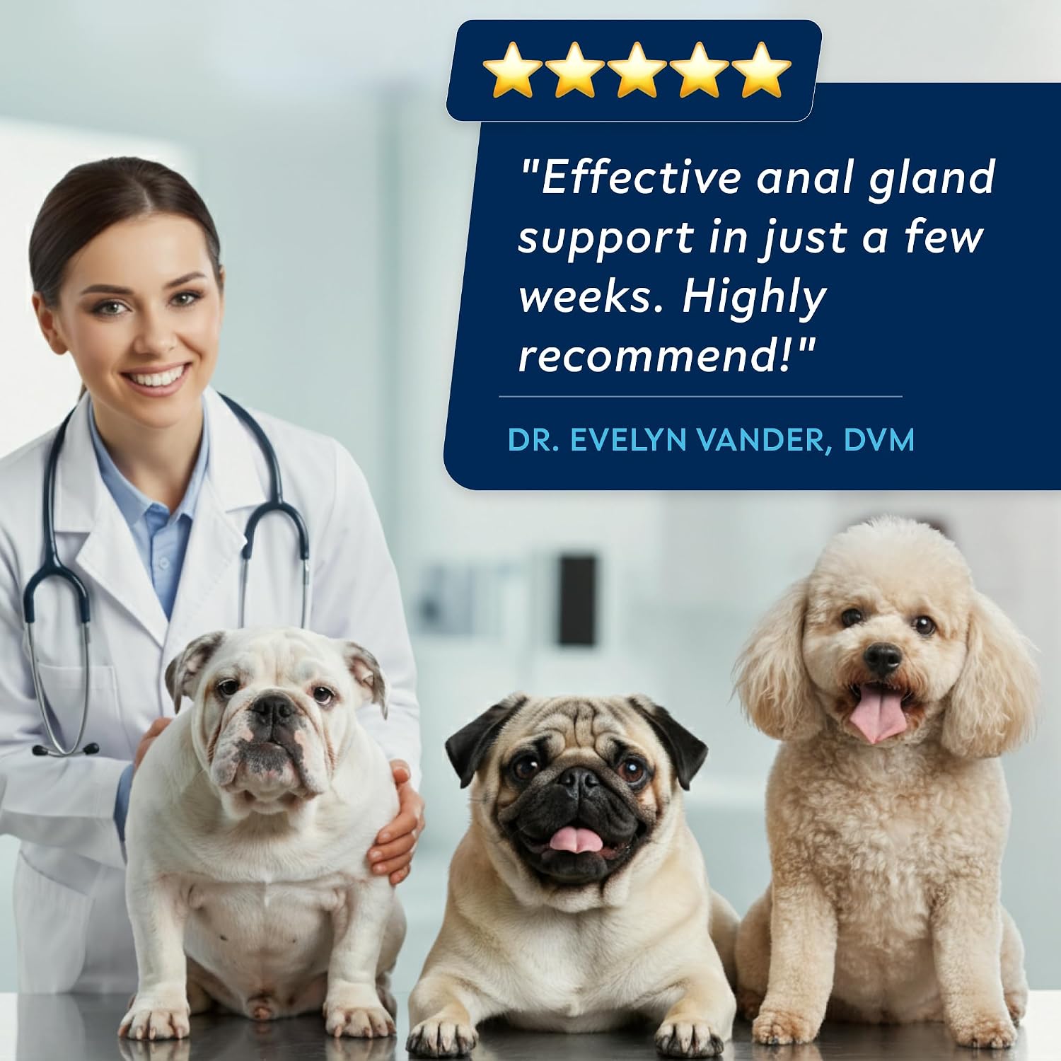 STRELLALAB Anal Gland Support Chews - Suplemento Digestivo con Fibra y Prebióticos para Perros, 120 masticables