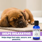 Ink Oil Pup Oils – Calmante para perros en gotas
