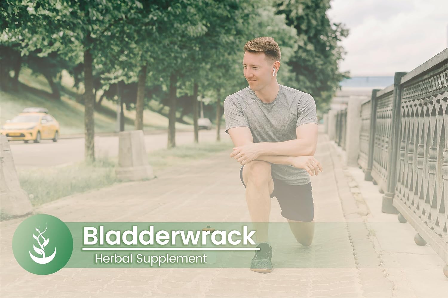 PURE ORIGINAL INGREDIENTS Bladderwrack (100 Cápsulas) - Puro, Sin Aditivos
