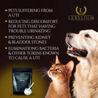 Lexelium Suplemento Orgánico para el Tracto Urinario de Perros y Gatos - con Arándano Rojo, D-Manosa y Cúrcuma - 200 g