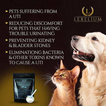 Lexelium Suplemento Orgánico para el Tracto – Cúrcuma (Curcumina): Potente antiinflamatorio natural que ayuda a – Image 3