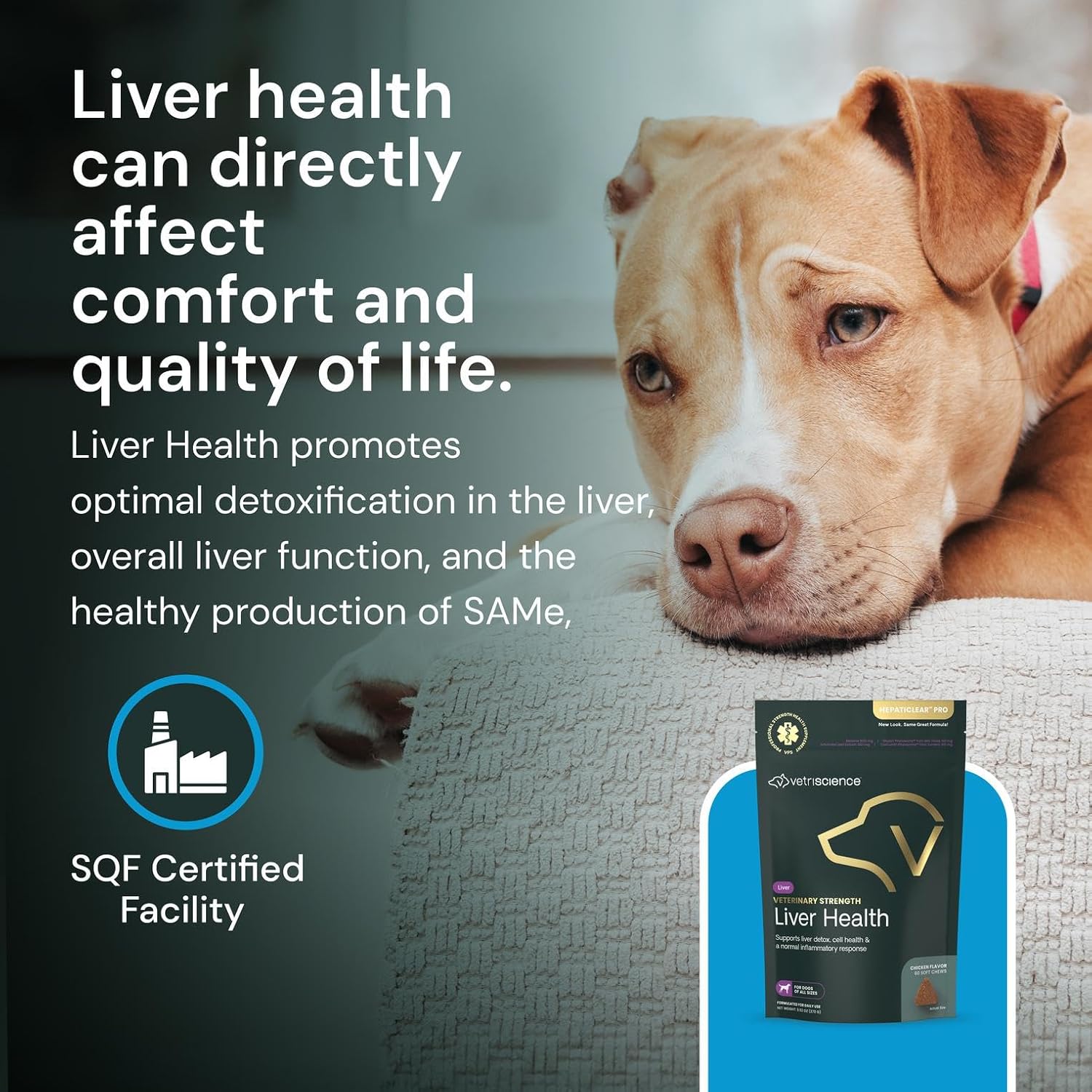 VetriScience Veterinary Strength Liver Health Chews - Suplemento Hepático para Perros, 60 Comprimidos