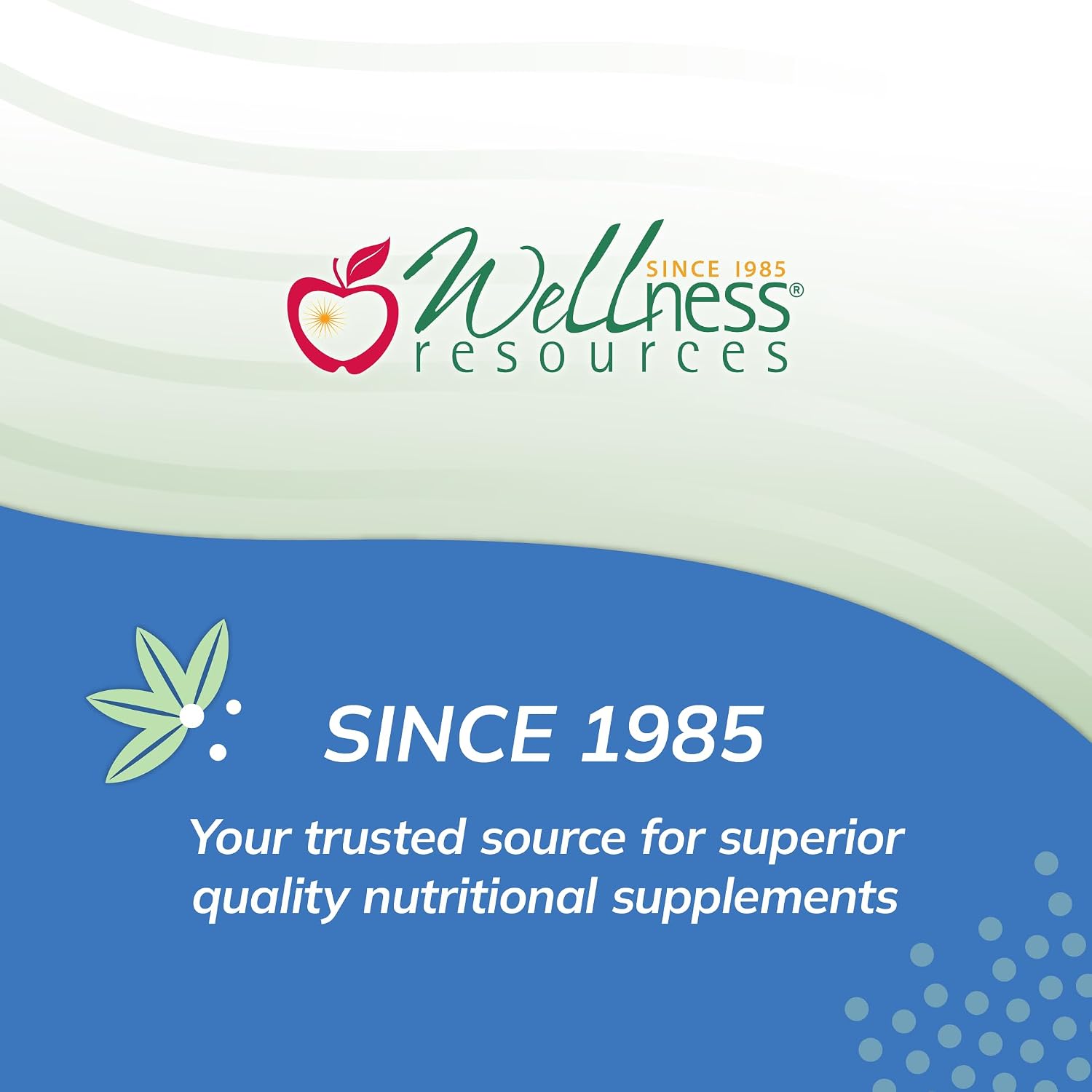 Super Mini-Multi - Multivitamínico infantil con metilfolato y vitamina B12 (120 cápsulas)