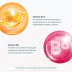 Youtheory Vitamina B12 + B6, Complemento para Energía y Apoyo Cerebral, Sabor a Frambuesa, 12 Sobres Individuales de 30 ml