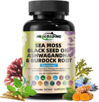 HEALOADING Cápsulas de Musgo Marino Silvestre y Vejiga de Mar - 350mg - Vegano, No OGM