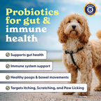 Origin Labs Belly Buddies Probióticos para Perros, 90 Masticables Sabor Bacon
