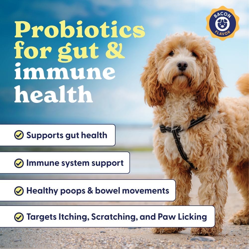 Origin Labs Belly Buddies Probióticos para Perros, 90 Masticables Sabor Bacon