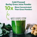 Macro Greens Superfood Powder – 38 Superalimentos con Probióticos y Enzimas