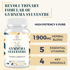 Sundhedsliv 16 en 1 Gymnema Sylvestre con Berberina, Canela y Melón Amargo - 2100 mg - 90 Cápsulas Veganas