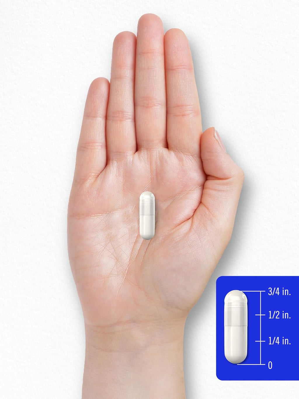Carlyle Benfotiamina 300mg | 90 Cápsulas | Vitamina B1 Liposoluble | Sin Gluten, Sin OGM