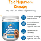 Pet Wellbeing Epic Mushroom Chewies para Perros – Apoyo Inmune, Salud Cognitiva y Adaptogénica con Hongos Funcionales Reishi, Chaga, Lion's Mane – Formulado por Veterinarios – 90 masticables blandos