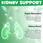 Kidney Support for Dogs - Suplemento Herbal para el Apoyo Renal, 60ml