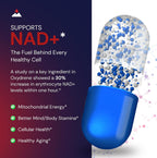 Novex Biotech Oxydrene NAD+ Enhancer - 60 Cápsulas