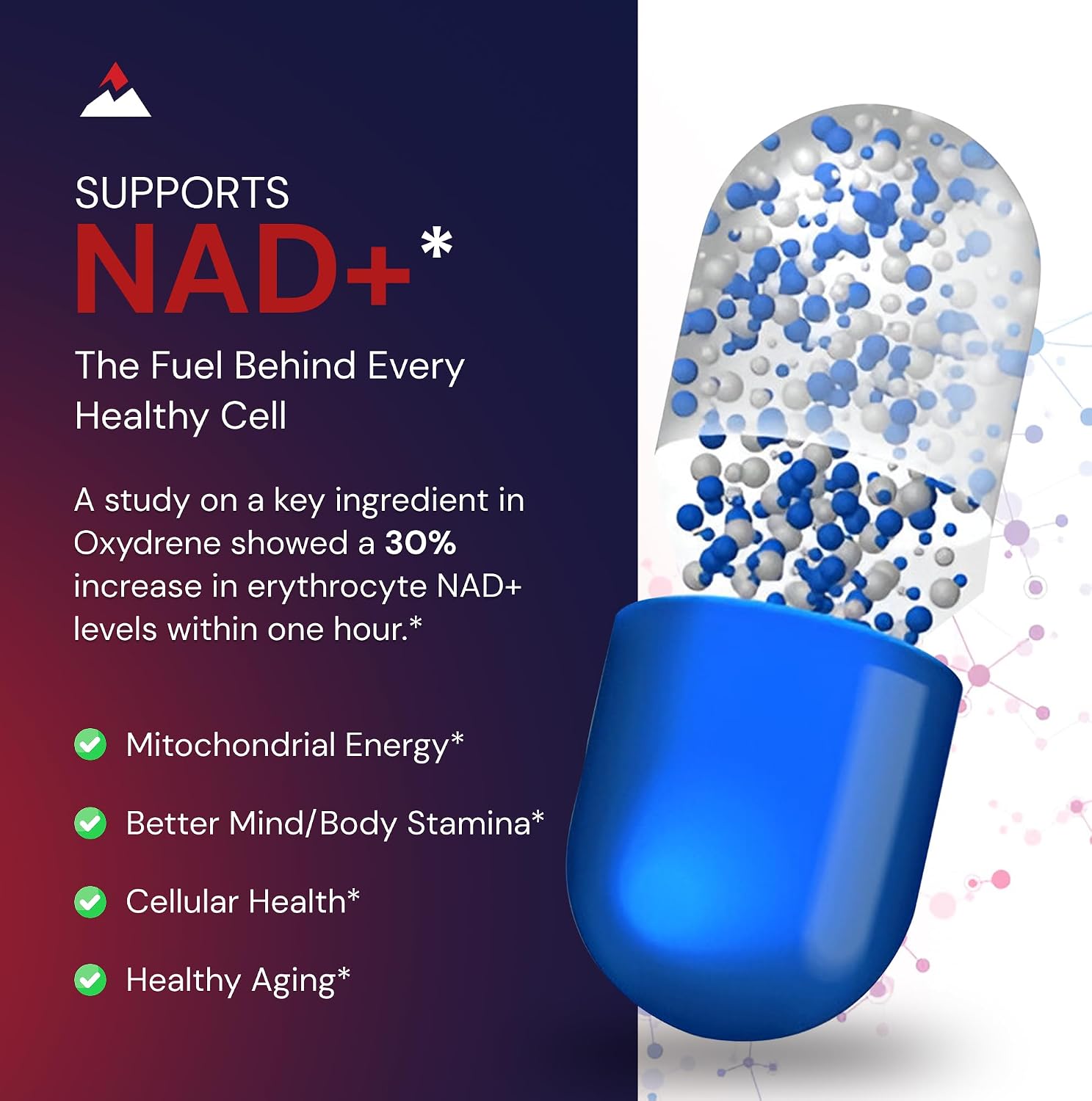 Novex Biotech Oxydrene NAD+ Enhancer - 60 Cápsulas