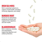 Force Factor Irish Sea Moss Capsules con Bardana y Fucus, 90 Cápsulas