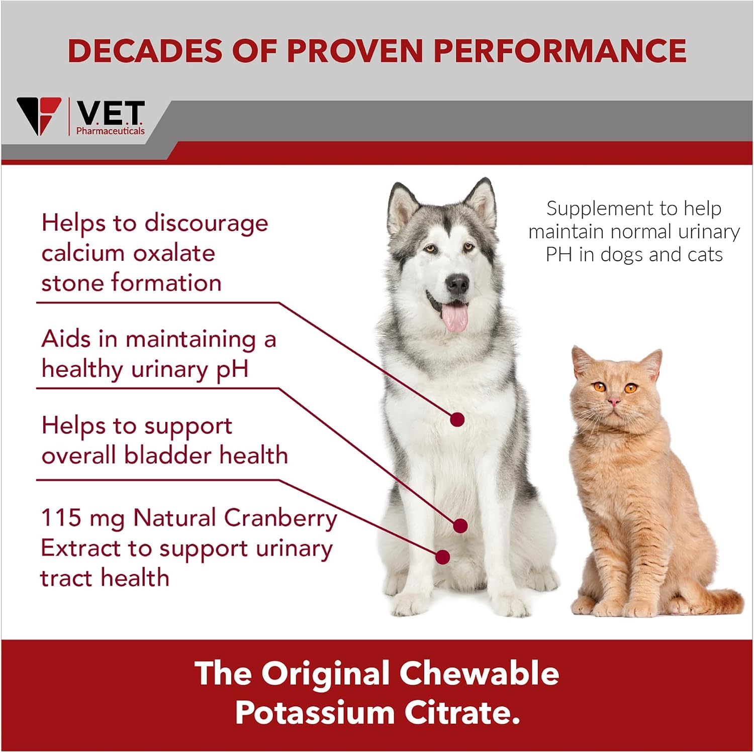 K-CIT-V Plus Cranberry 300 g Granulados para Perros y Gatos