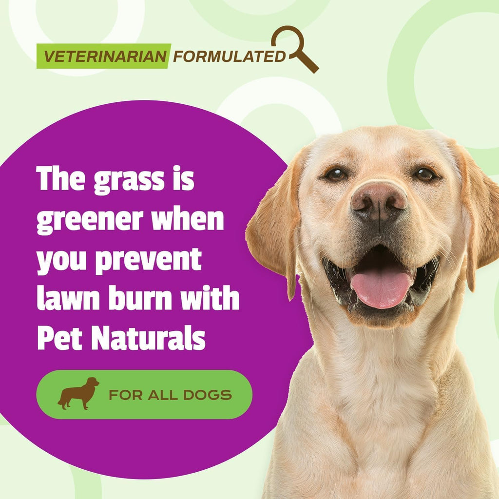 Pet Naturals Lawn Aid – Snacks blandos para perros, neutralizador de orina, previene quemaduras del césped, apoyo a la vejiga y tracto urinario, sabor a pollo, 60 unidades