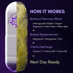 Purple Tree Next Day – Suplemento Post-Fiesta con Ashwagandha KSM-66, Cardo Mariano, Vitaminas y Minerales | 90 Cápsulas