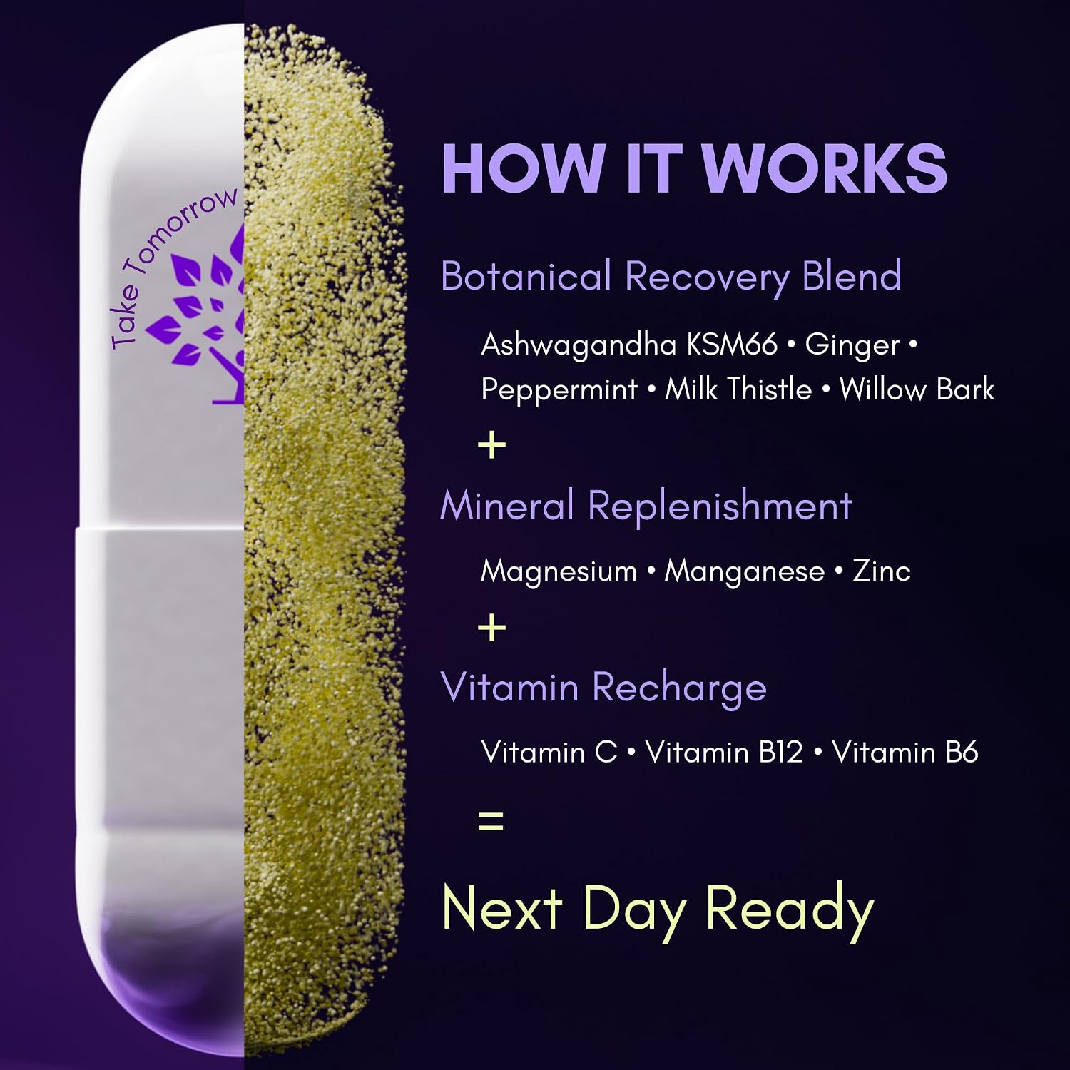 Purple Tree Next Day – Suplemento Post-Fiesta con Ashwagandha KSM-66, Cardo Mariano, Vitaminas y Minerales | 90 Cápsulas