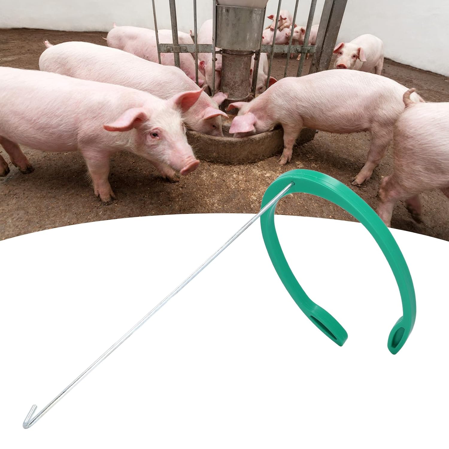 Kit de Inseminación Artificial Ajustable para Cerdos - Nachukan