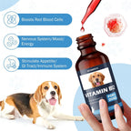 Vitamina B12 para Perros con Metilcobalamina | Estimulante del Apetito y Apoyo Energético | 60 ml