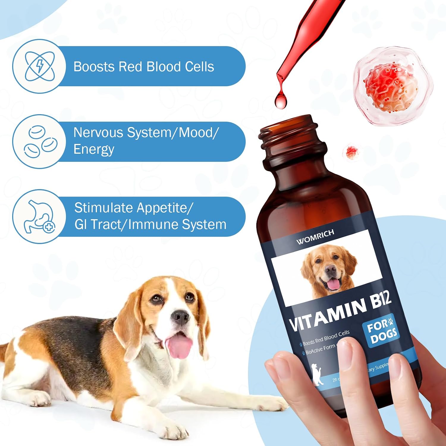 Vitamina B12 para Perros con Metilcobalamina | Estimulante del Apetito y Apoyo Energético | 60 ml