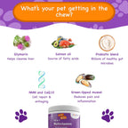 Pawpuk Paws Suplemento Multifuncional para Perros con Silimarina, Mejillón de Labio Verde, Glucosamina, MSM, Aceite de Salmón, Probióticos, Co-Q10, NMN