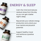 Complejo B de The Wellness Company – Recuperación Muscular, Concentración y Resiliencia, Vitaminas B Metiladas de Amplio Espectro | 30 Cápsulas (1 Mes de Suministro)
