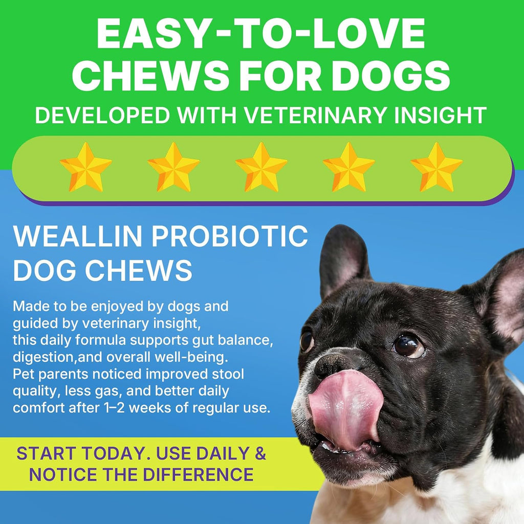 Probióticos para Perros WEALLIN - 200 Masticables para Salud Digestiva y Piel