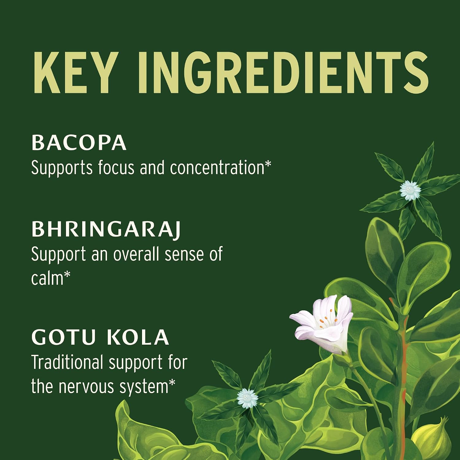 Banyan Botanicals Organic Mental Clarity - Ayurvedic Supplement for Mental Clarity - 90 Tablets