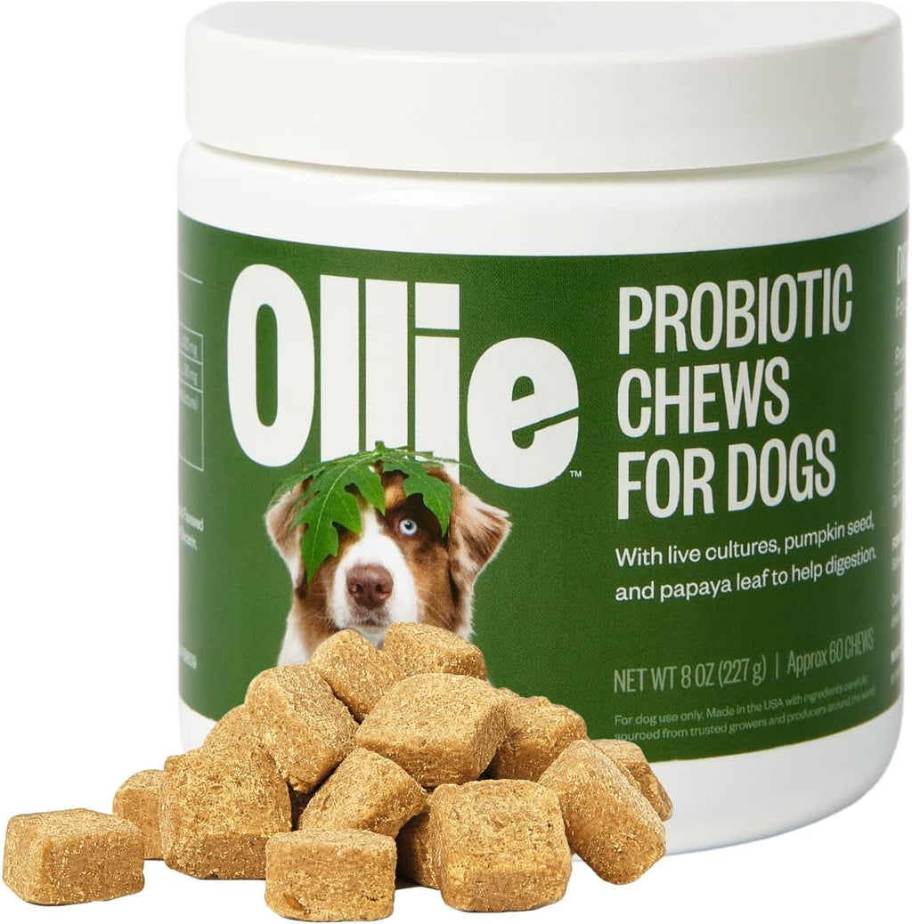 Ollie Belly Rubs - Probióticos para Perros - Salud Digestiva - Aprox. 60 Masticables
