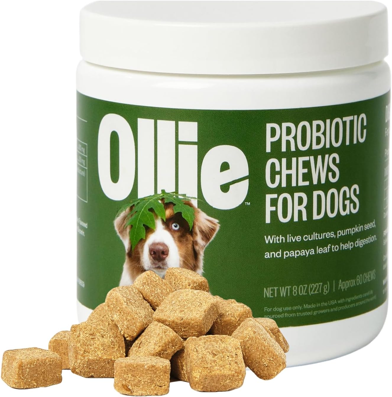 Ollie Belly Rubs - Probióticos para Perros - Salud Digestiva - Aprox. 60 Masticables