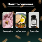 Better Alt 100mg Quercetin Capsules con Saúco, Ashwagandha y 9 Hierbas Potentes