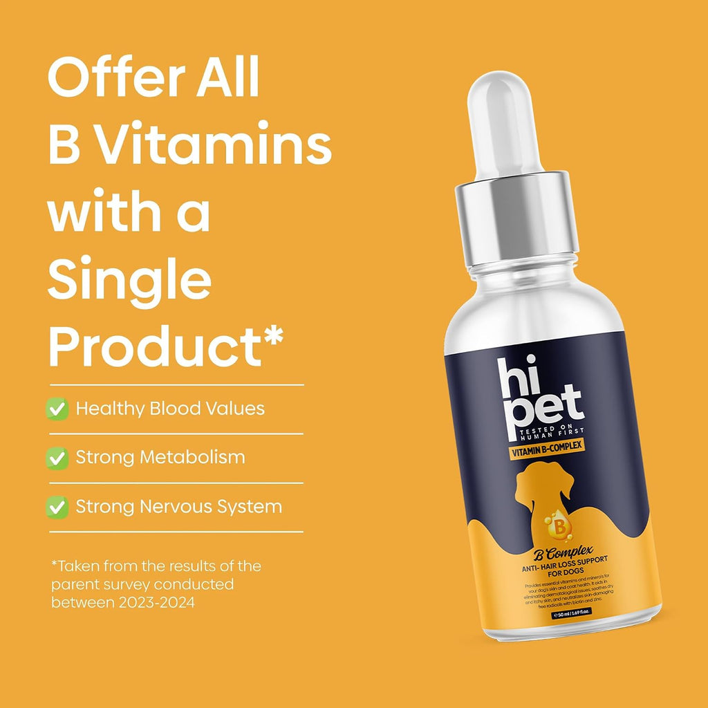 Complejo Vitamínico B para Perros, Apoya el Metabolismo y Aumenta los Niveles de Energía, 50 ml (Pack de 6)