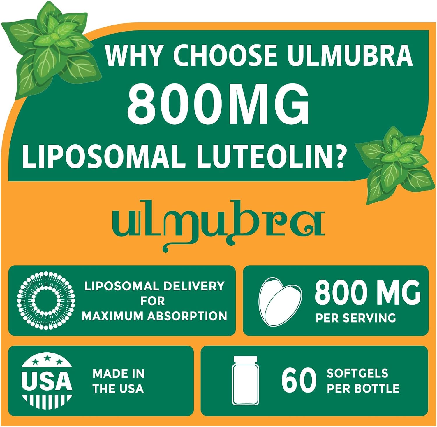 Ulmubra 800 mg Luteolina Liposomal - Suplemento Antioxidante de Alta Absorción, 60 Perlas