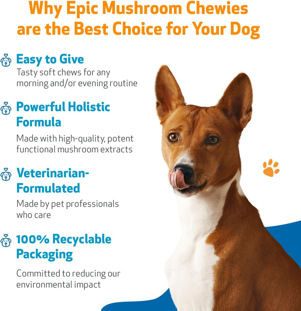 Pet Wellbeing Epic Mushroom Chewies para Perros – Apoyo Inmune, Salud Cognitiva y Adaptogénica con Hongos Funcionales Reishi, Chaga, Lion's Mane – Formulado por Veterinarios – 90 masticables blandos