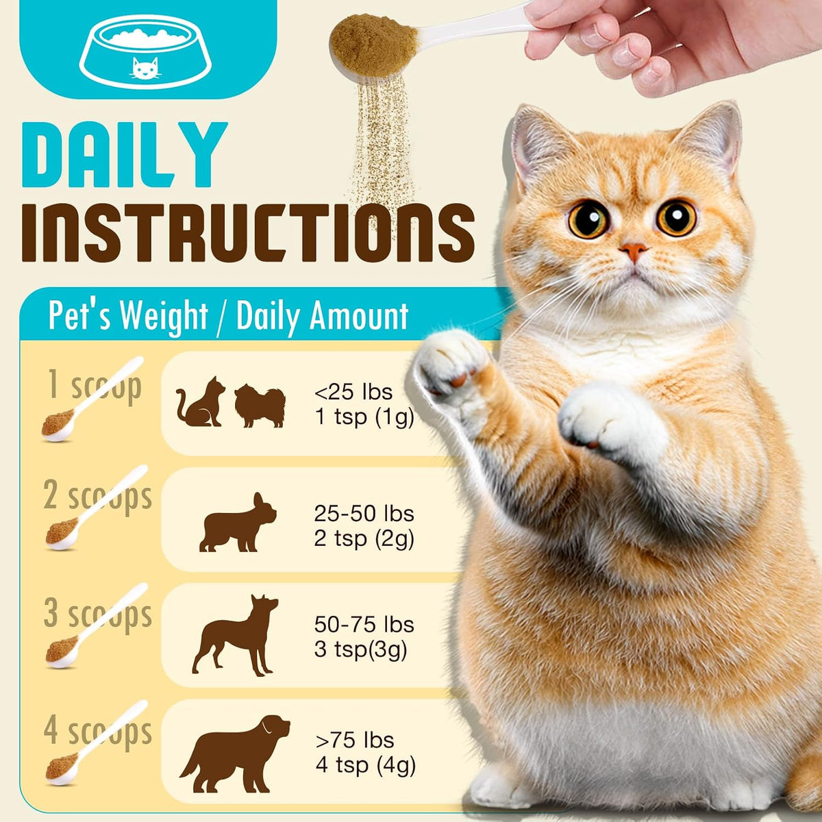 Organic Mushroom Supplement Powder for Dogs – Turkey Tail y Chaga : ricas en polisacáridos que pueden favorecer la – Image 4