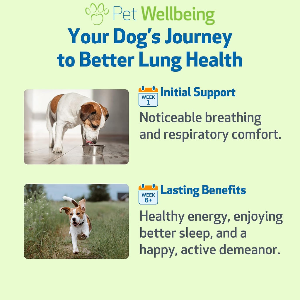 Pet Wellbeing Lung Gold para Perros – Apoyo Respiratorio Natural – 60 ml