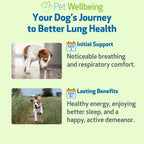 Pet Wellbeing Lung Gold para Perros – Apoyo Respiratorio Natural – 60 ml