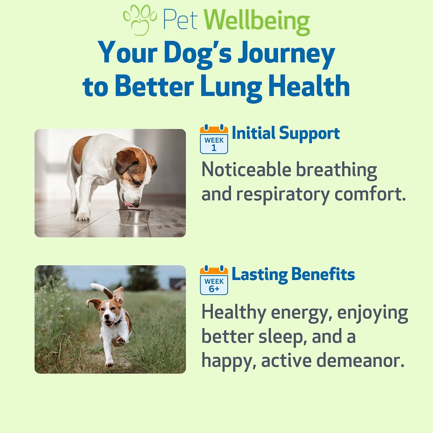 Pet Wellbeing Lung Gold para Perros y Gatos – Suplemento Herbal Natural para el Sistema Respiratorio, 18 ml